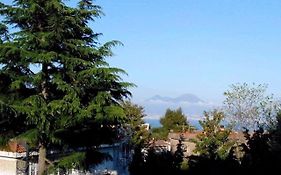 Le Rondini